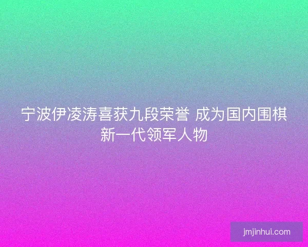 宁波伊凌涛喜获九段荣誉 成为国内围棋新一代领军人物